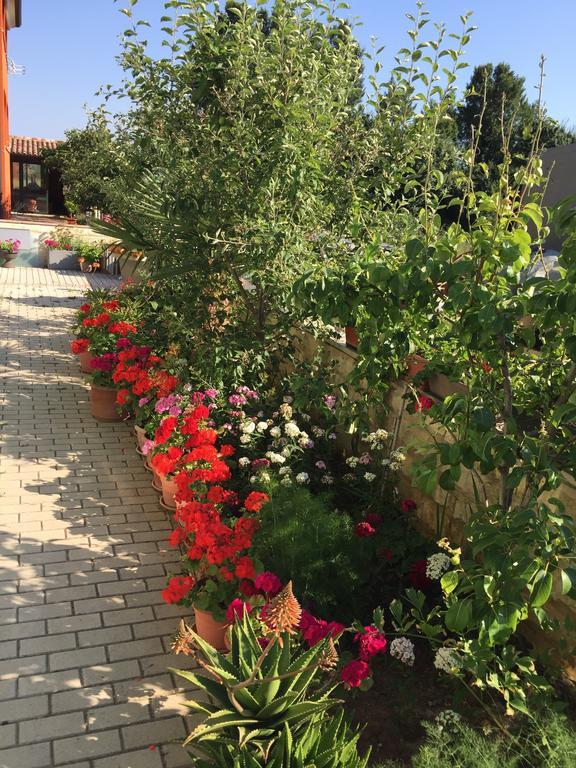 Zajim Apartment Umag Exterior foto